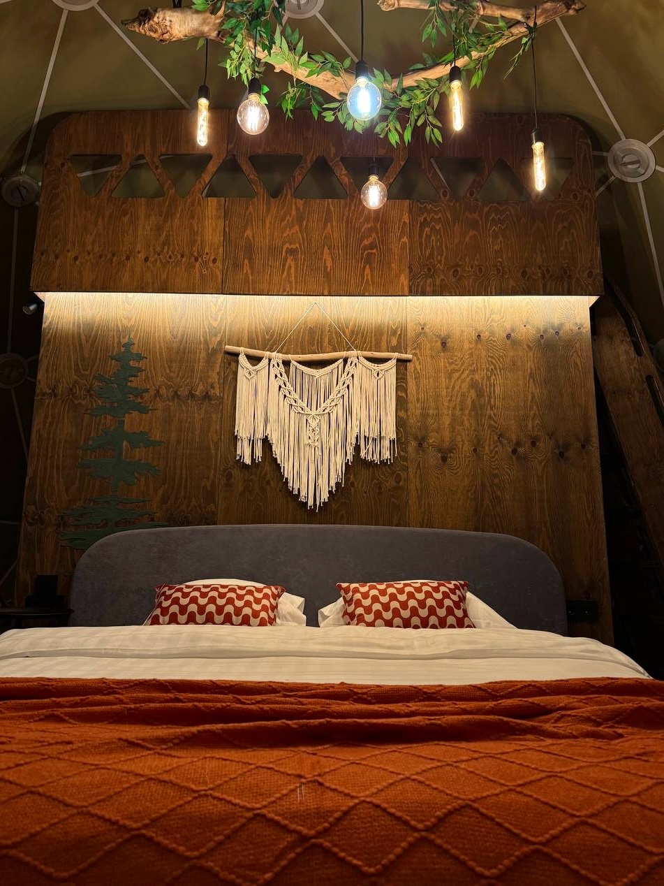 Купольный дом «WOOD»