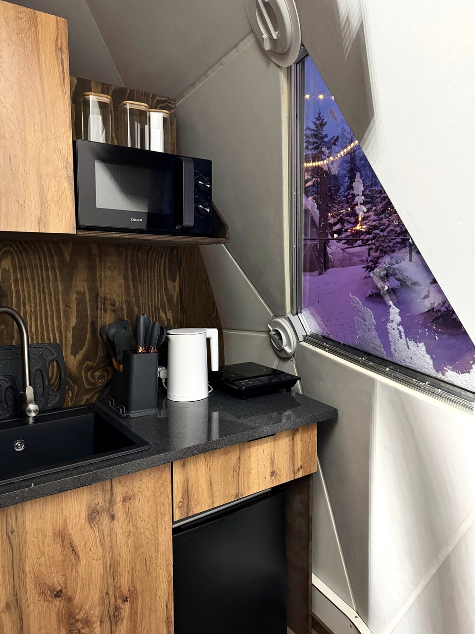 Купольный дом «WOOD»