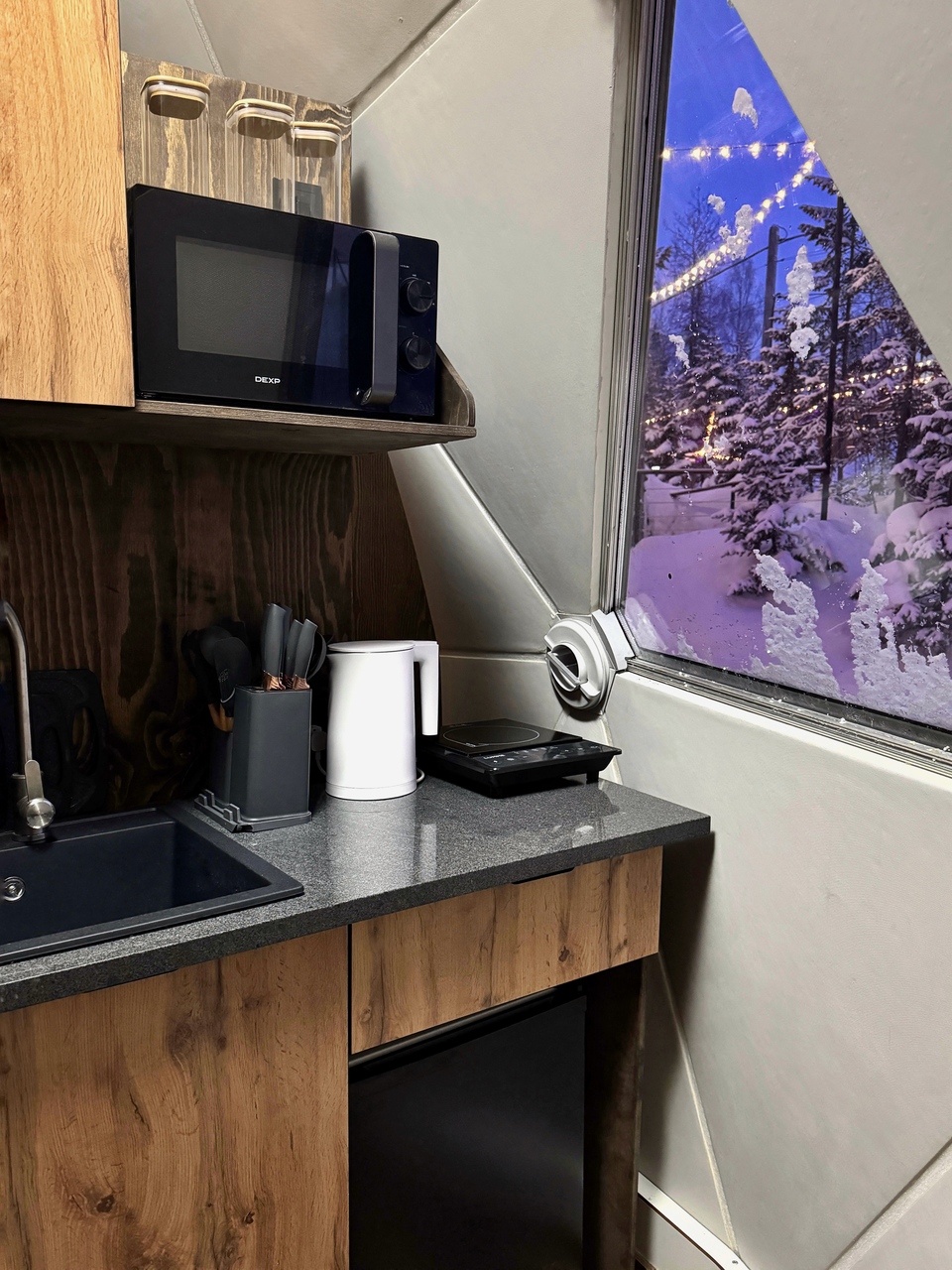 Купольный дом «WOOD»