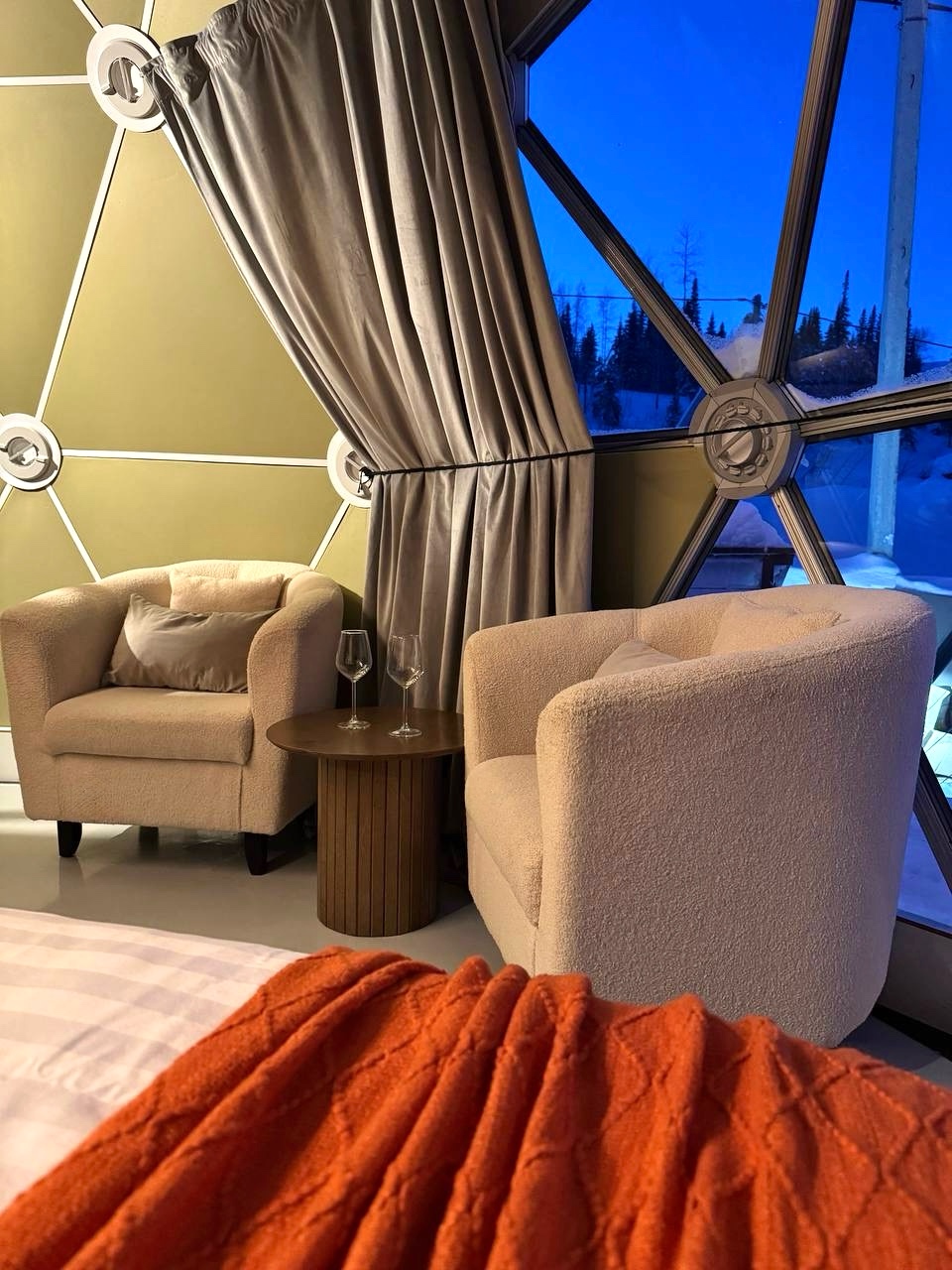 Купольный дом «WOOD»