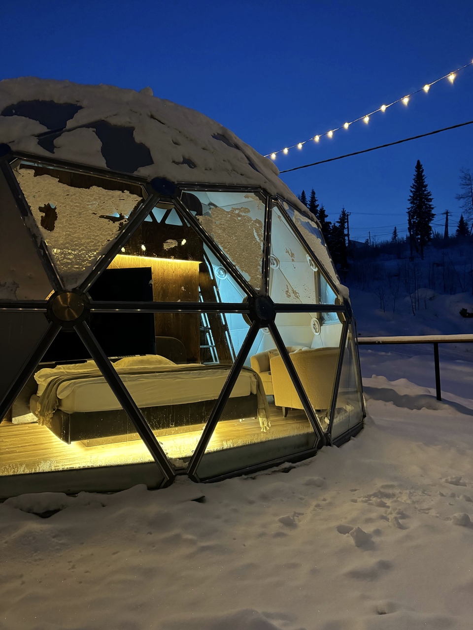 Купольный дом «WOOD»